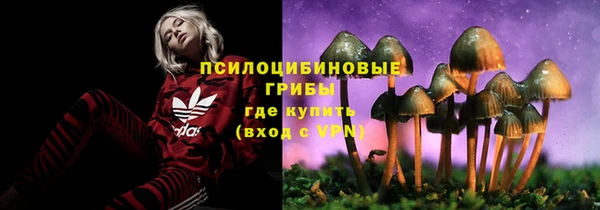 твердый Красноперекопск