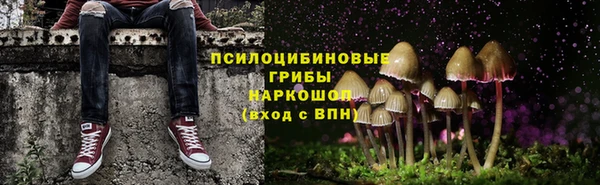 ешки Коряжма