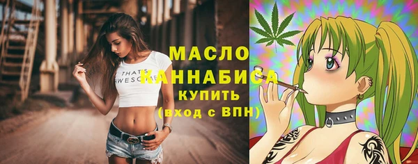молекула духа Краснослободск
