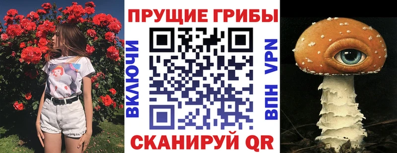 Галлюциногенные грибы прущие грибы  Волгоград 