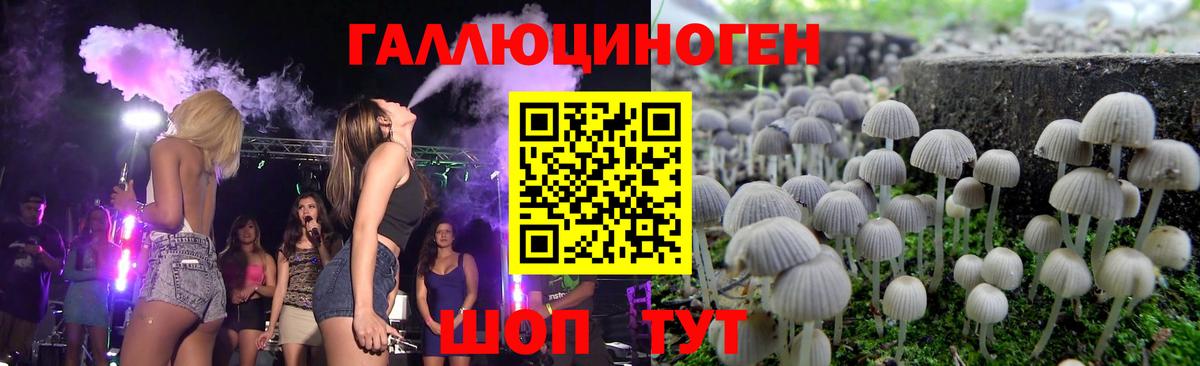Волгоград  Псилоцибиновые грибы мухоморы  продажа наркотиков  Вход с VPN 